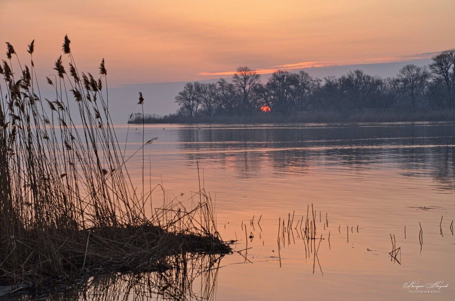 утро, восход, солнце, рассвет, апрель, туман, Валерий Наумов