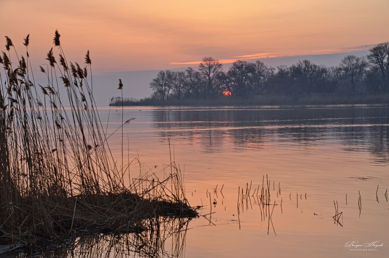 утро, восход, солнце, рассвет, апрель, туман Брезжит свет на заводи затона... фото превью