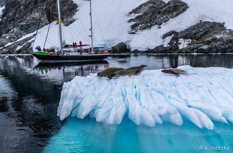 Antarctica фото превью