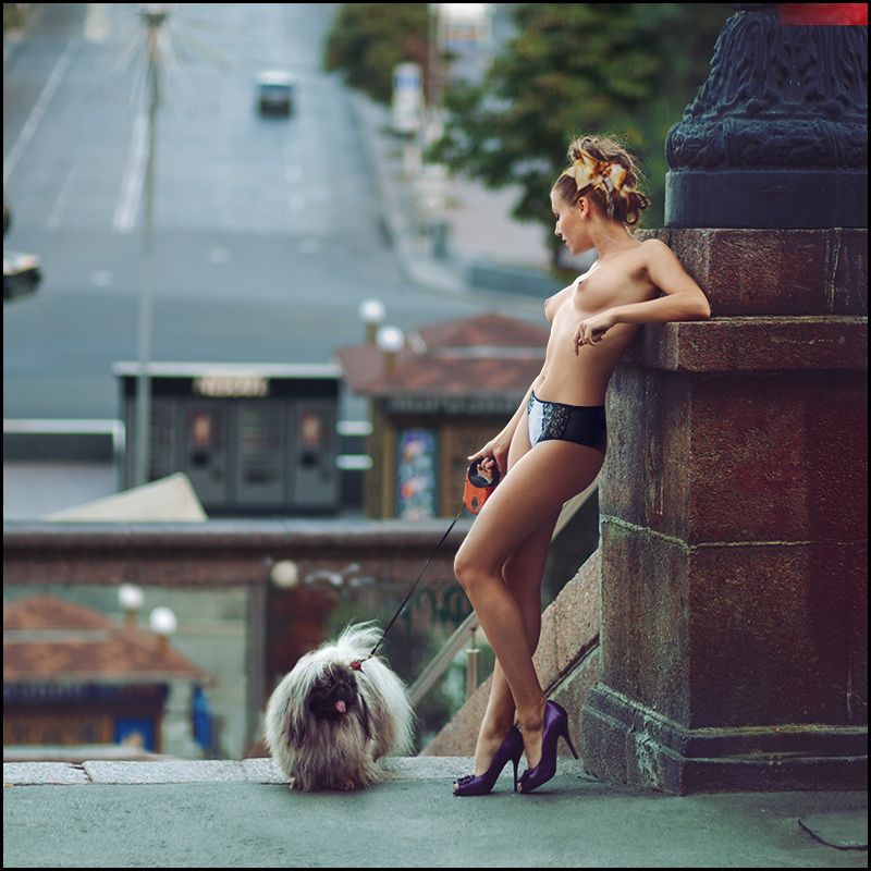 Cocos © фото превью