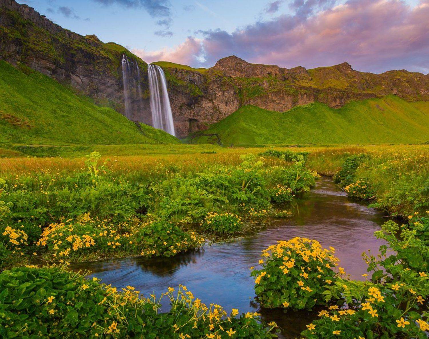 , Александр Подрез