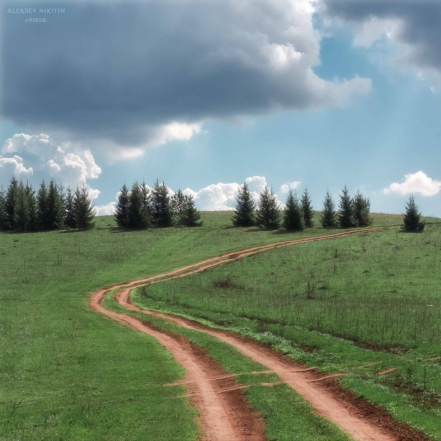 , Алексей Никитин