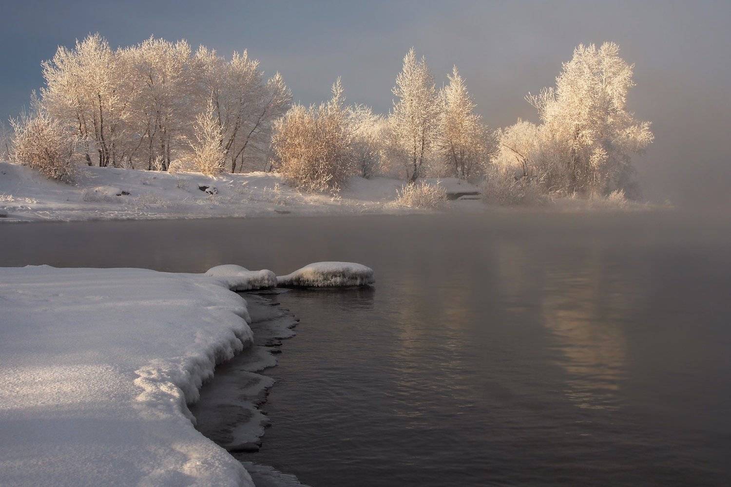, Александр Попов
