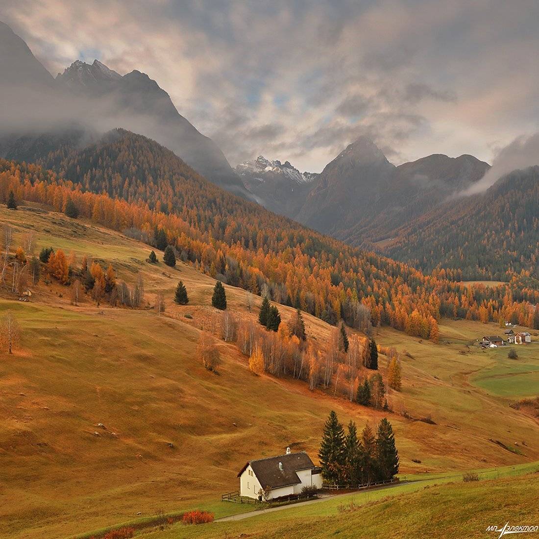 swiss, Матвеев Николай