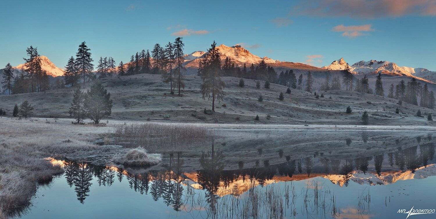 swiss, Матвеев Николай