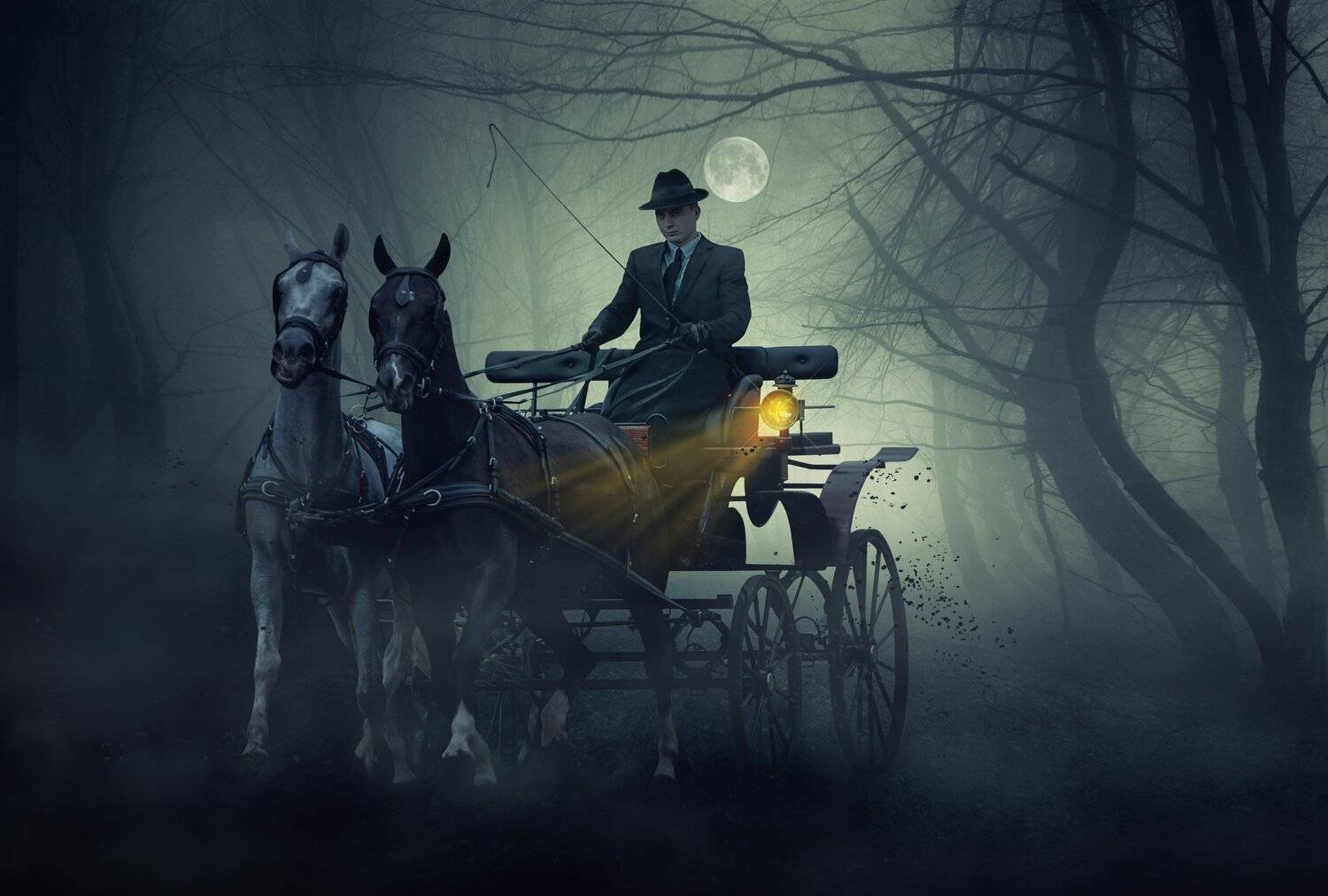 лошади, лес, мужчина, Sergii Vidov