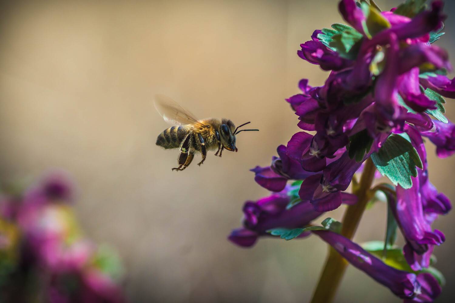 , Роман Зайцев