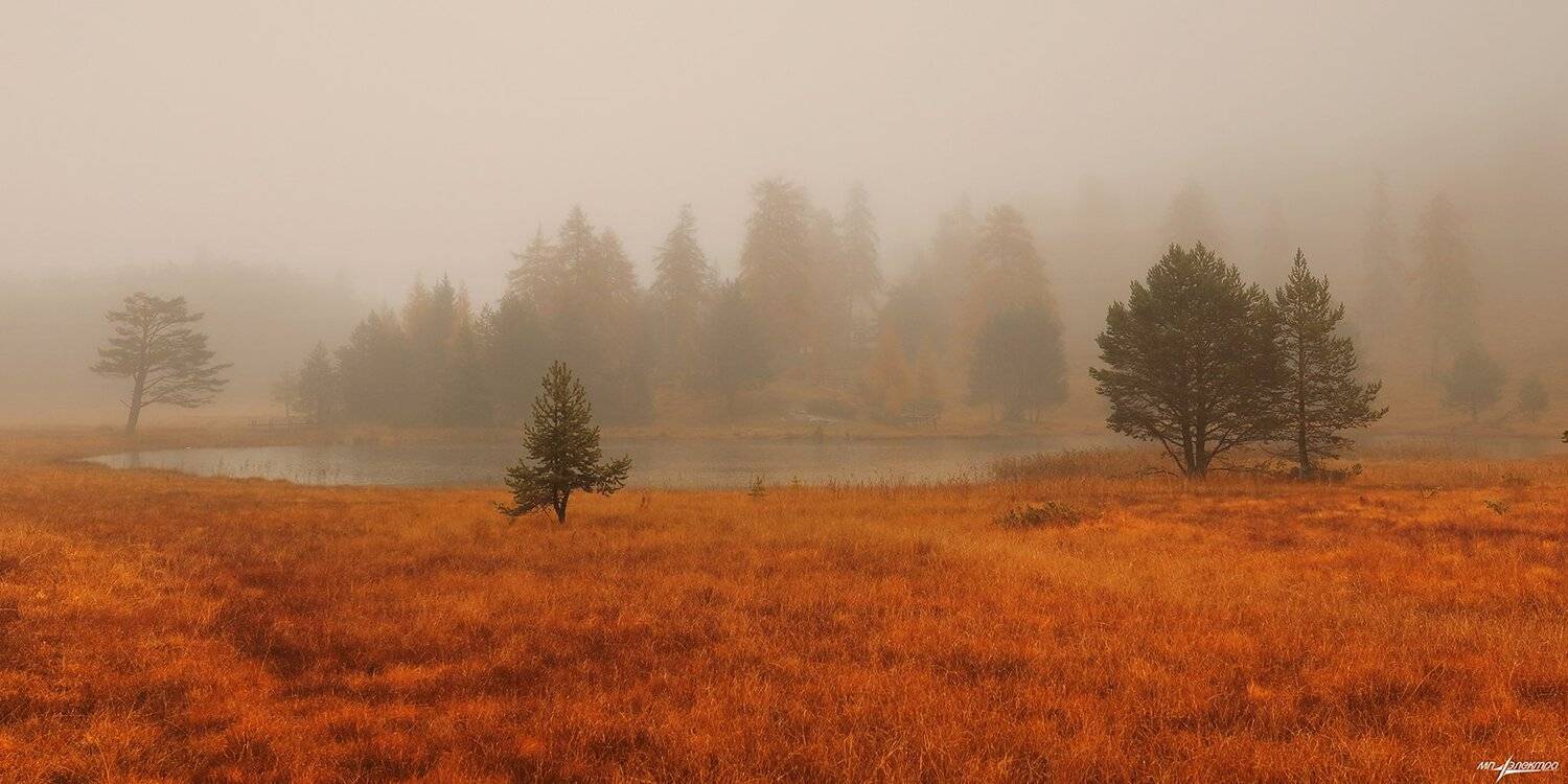 swiss, Матвеев Николай