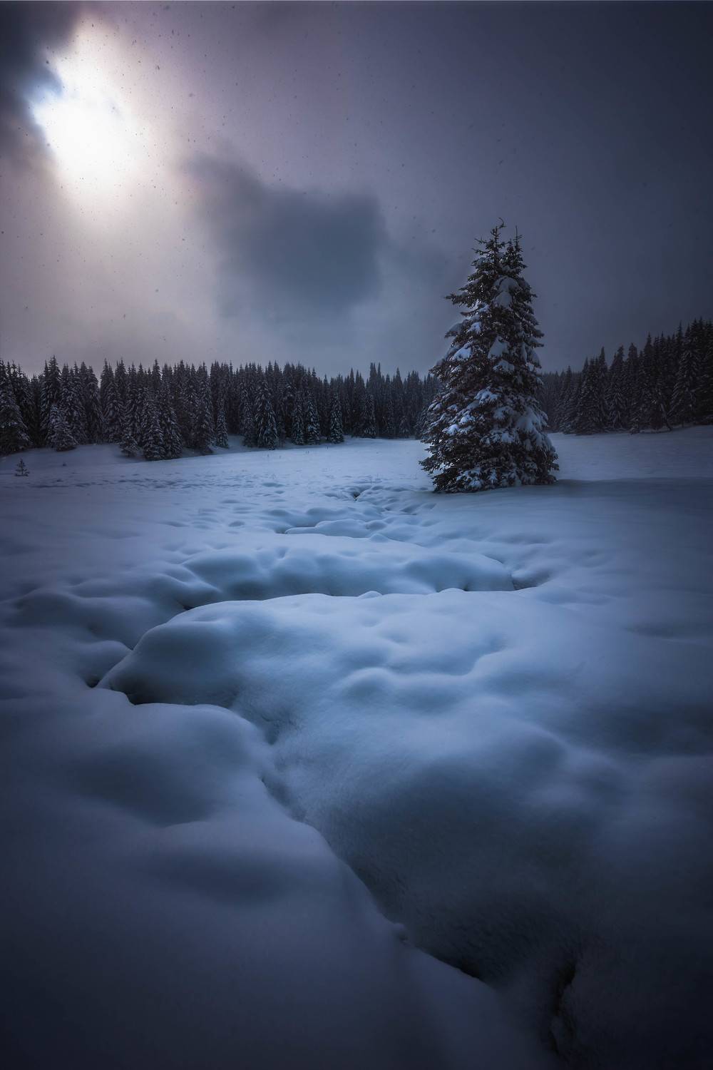#landscape#nature#winter, Dimo Hristev
