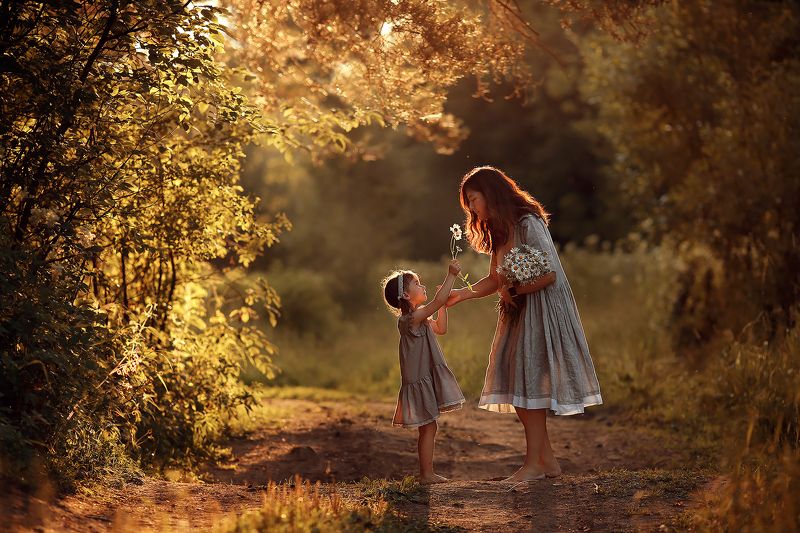 Ромашки фото превью