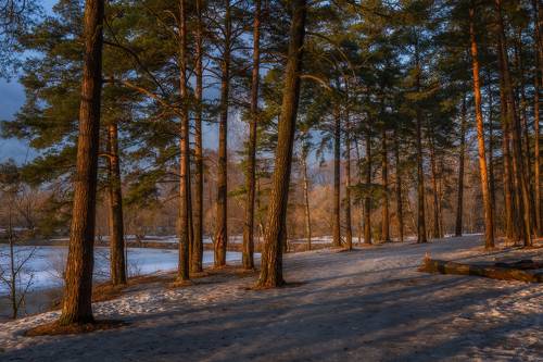 Апрельский вечер