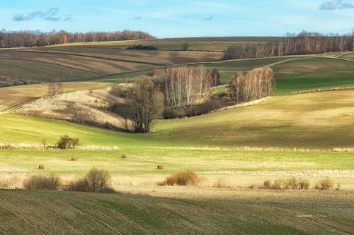 springtime...