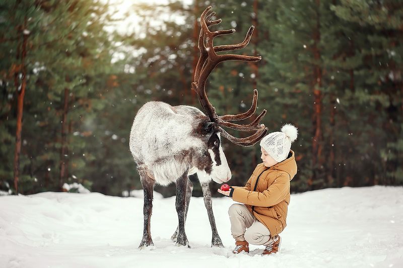 *** фото превью