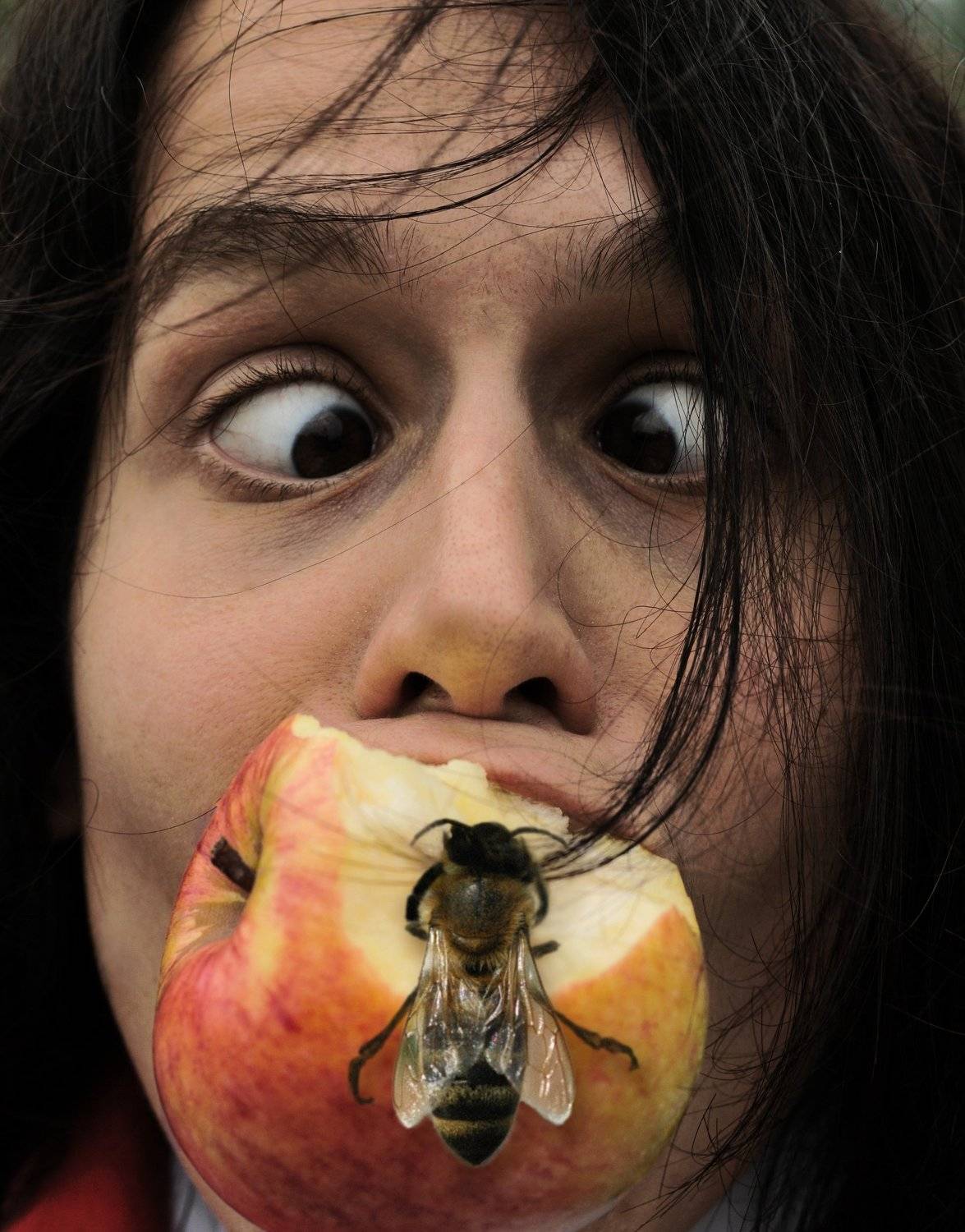 , Владимир Краснов