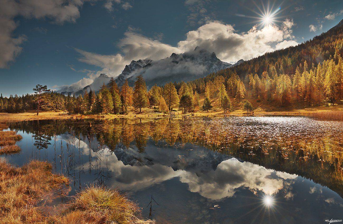 swiss, Матвеев Николай