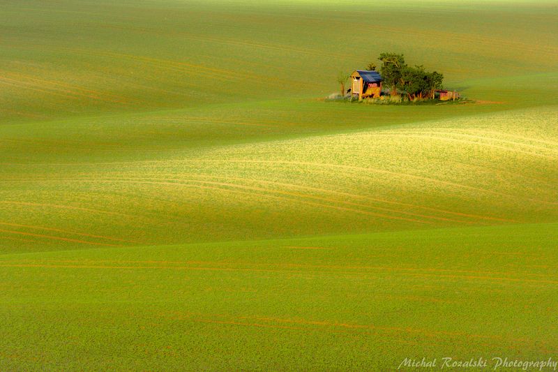 moravia, ,hills, ,rolling, ,spring, ,green, ,fields, ,agriculture, ,season, ,landscape, , Pasture фото превью