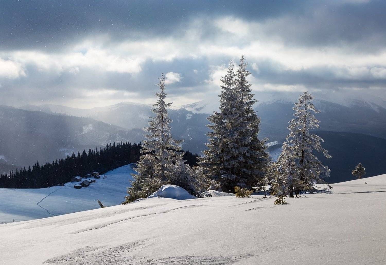 , Александр Подрез