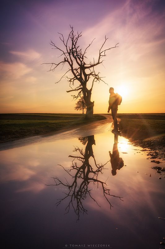 landscape, poland, light, spring, awesome, amazing, sunrise, sunset, lovely, nature, travel, reflection, trees, water, sun,clouds Loneliness фото превью