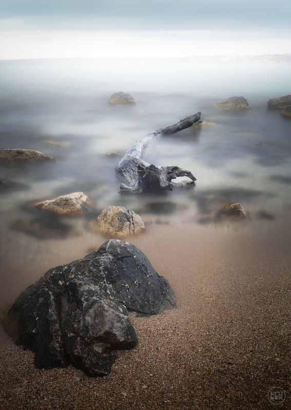 черное море, крым, севастополь Черноморское чудище фото превью
