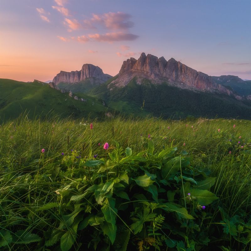 Зелёно розовое утро фото превью
