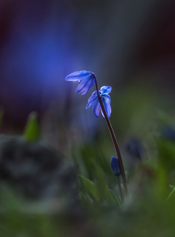 Мама, я с тобой. фото превью