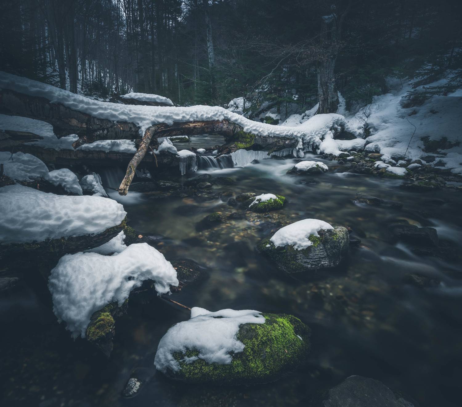 #landscape#nature#winter#woodland#river, Dimo Hristev