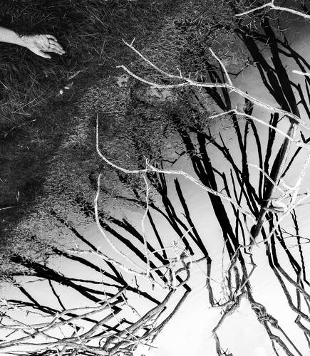 Ловушка для снов