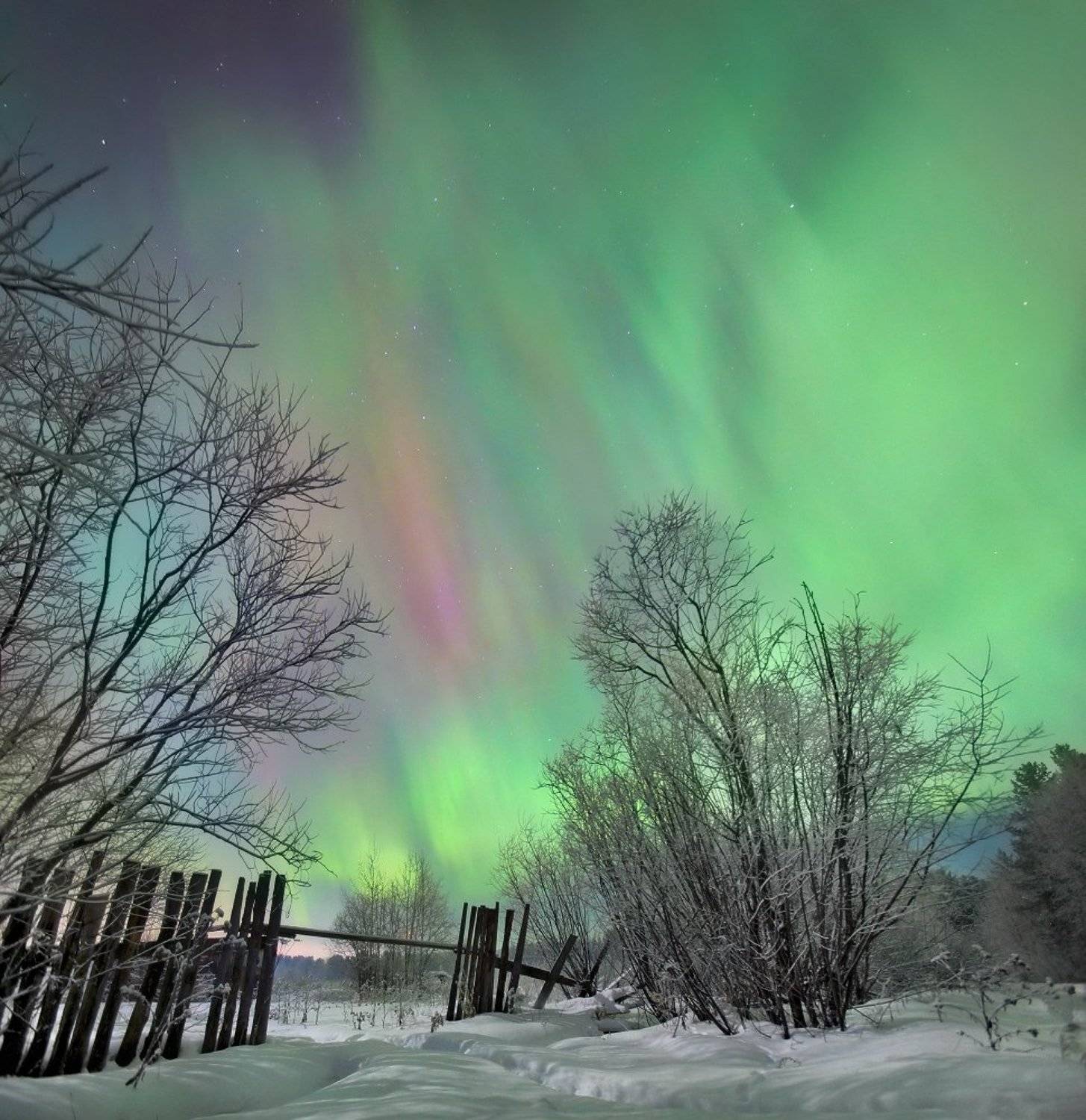 , Сергей Макурин