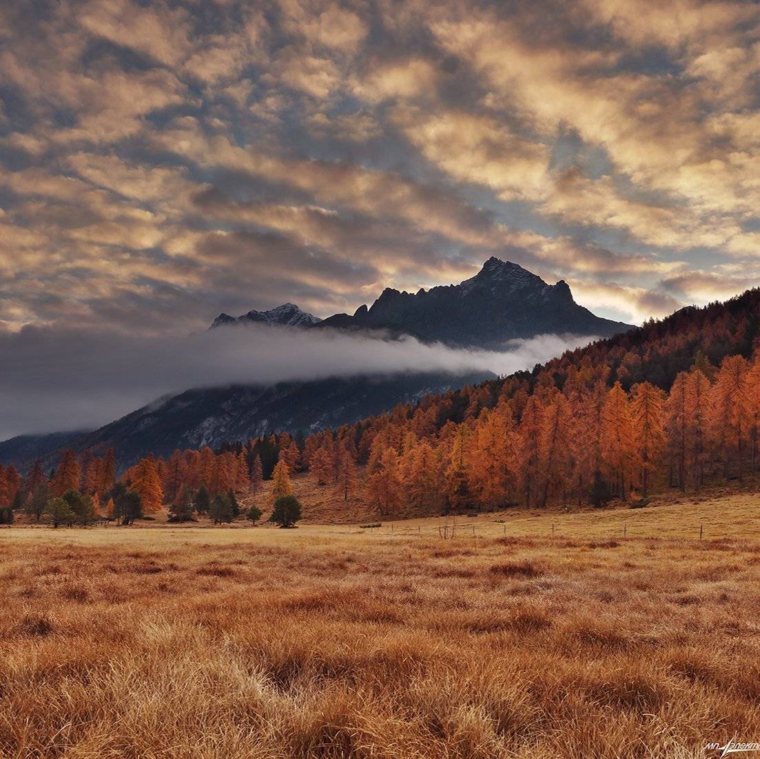 swiss, Матвеев Николай