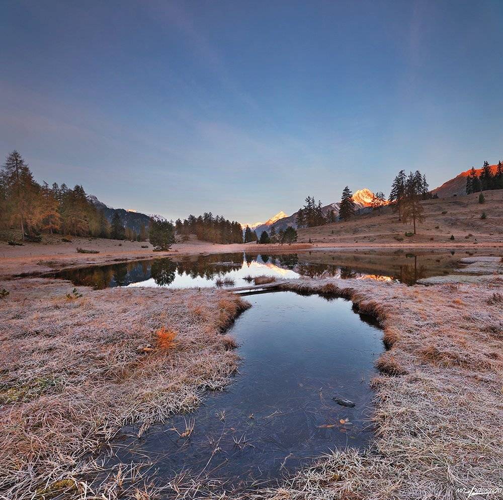 swiss, Матвеев Николай