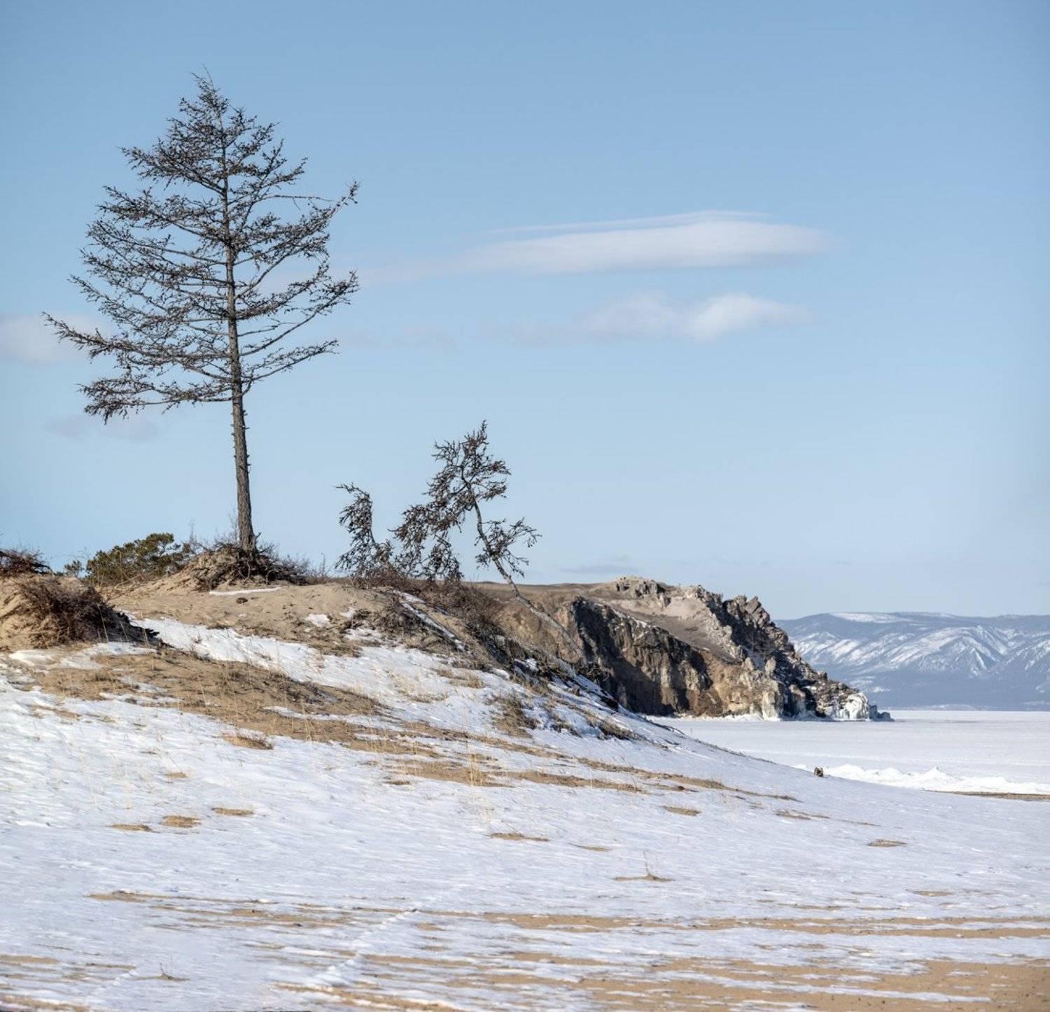 , Игорь Железняк