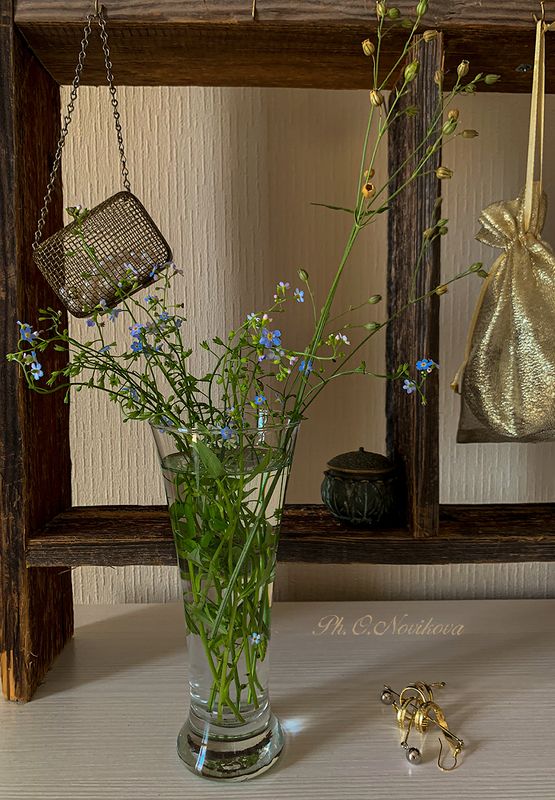 *** фото превью