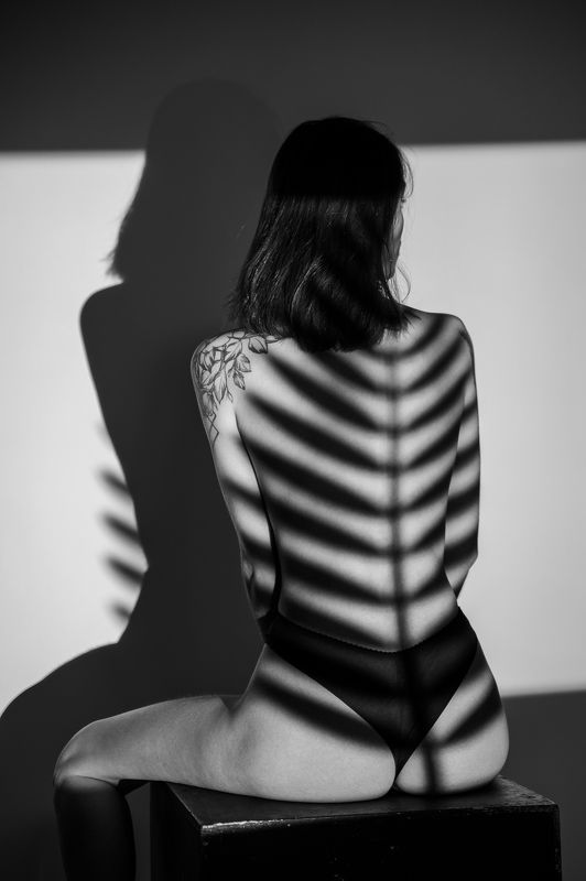 девушка, брюнетка, girl, brunette, posing, проектор, позирование, tropical, lingerie, underwear, palm, shadows, тени, пальмы, бельё, тропический Palm Beach фото превью