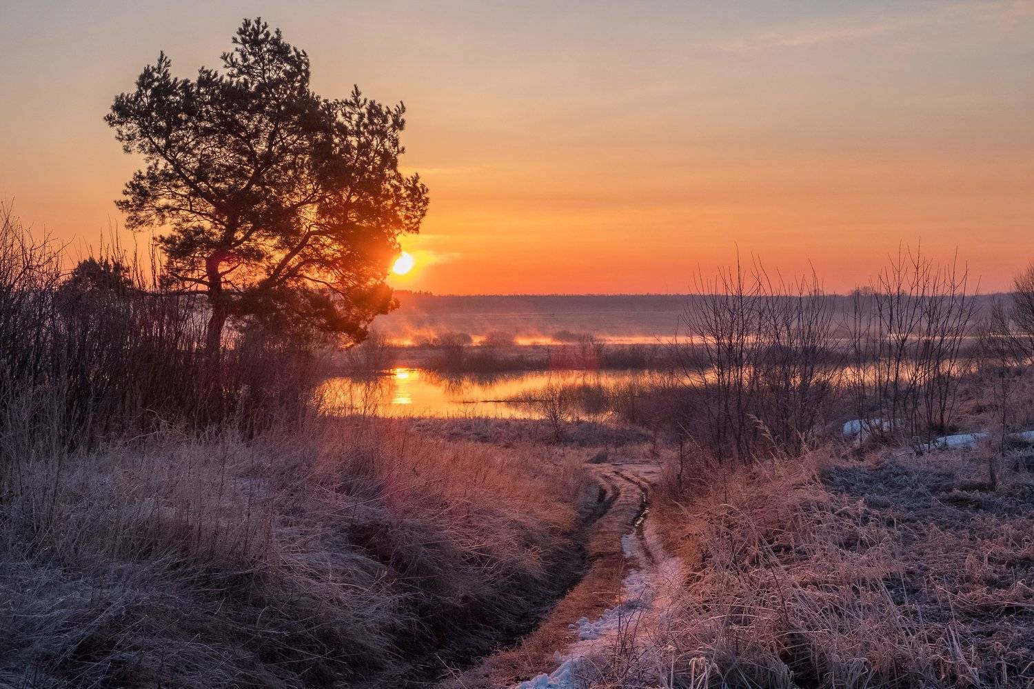 , Екатерина