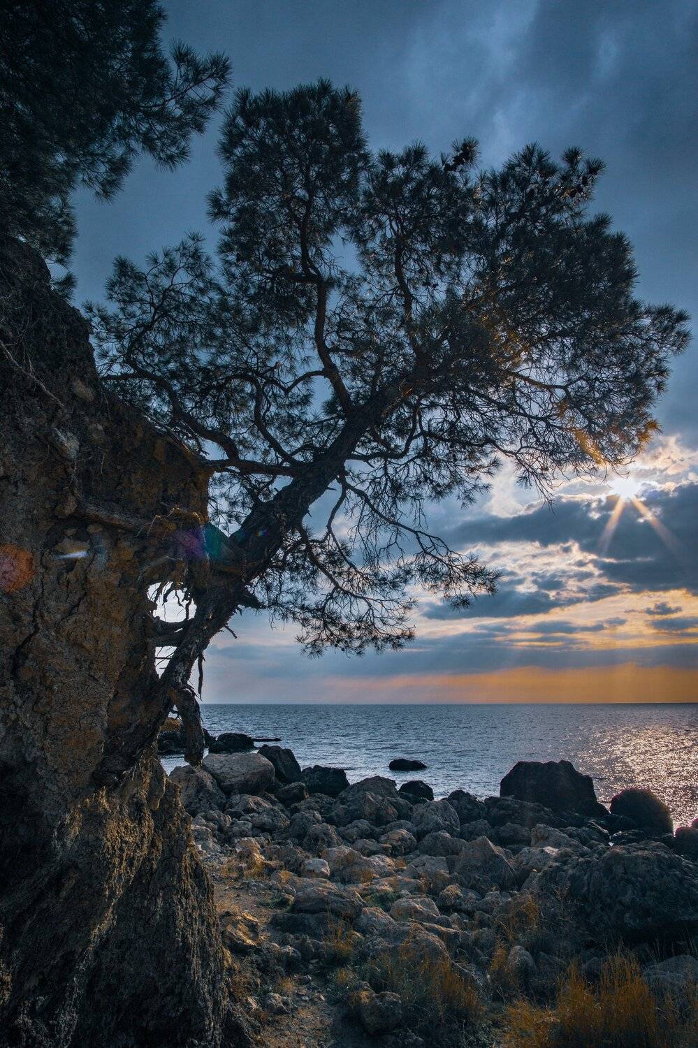 , Андрей Кривцов