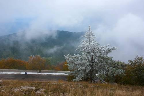 Осень на Ай-Петри