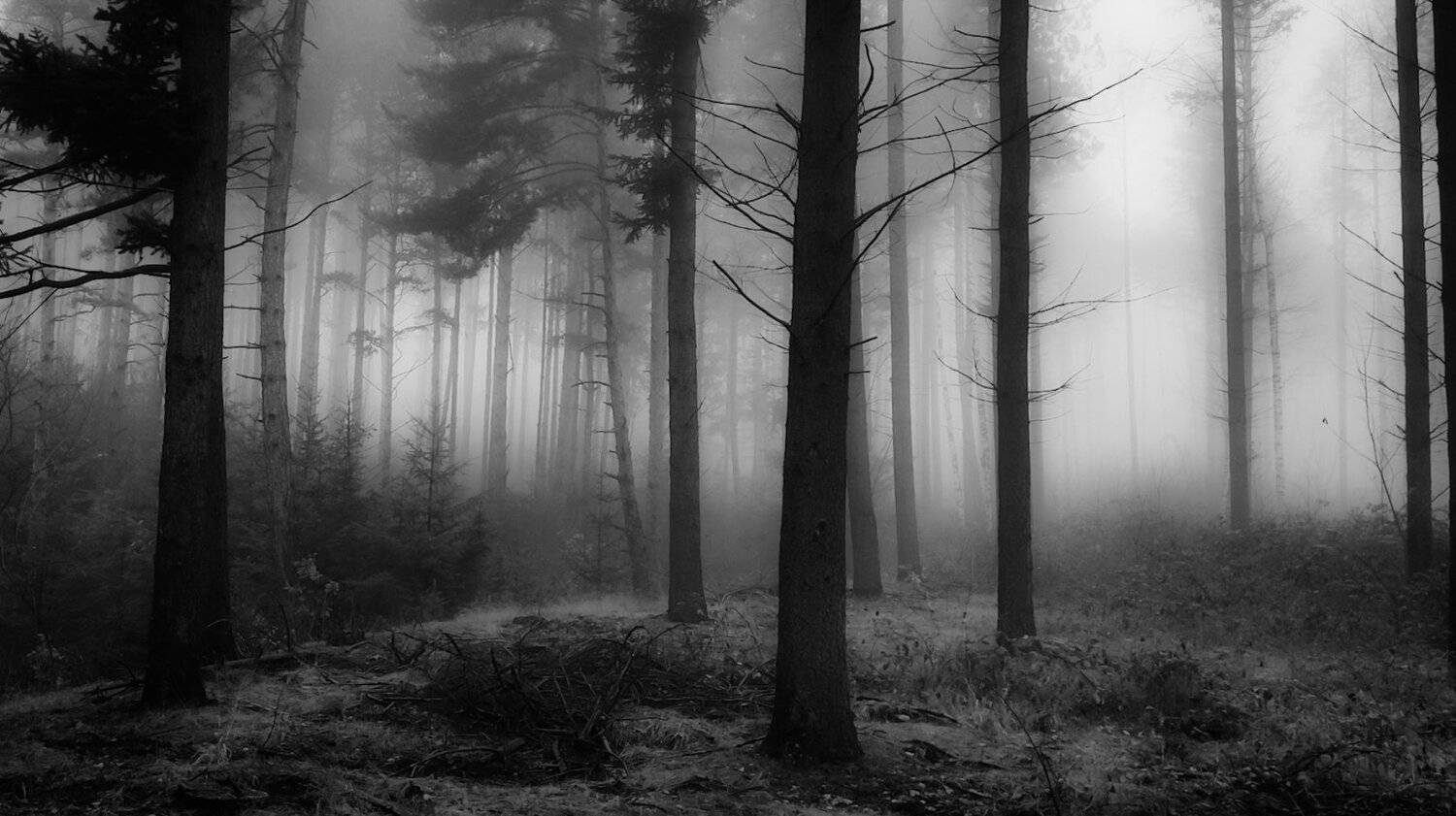 , Красимир Георгиев