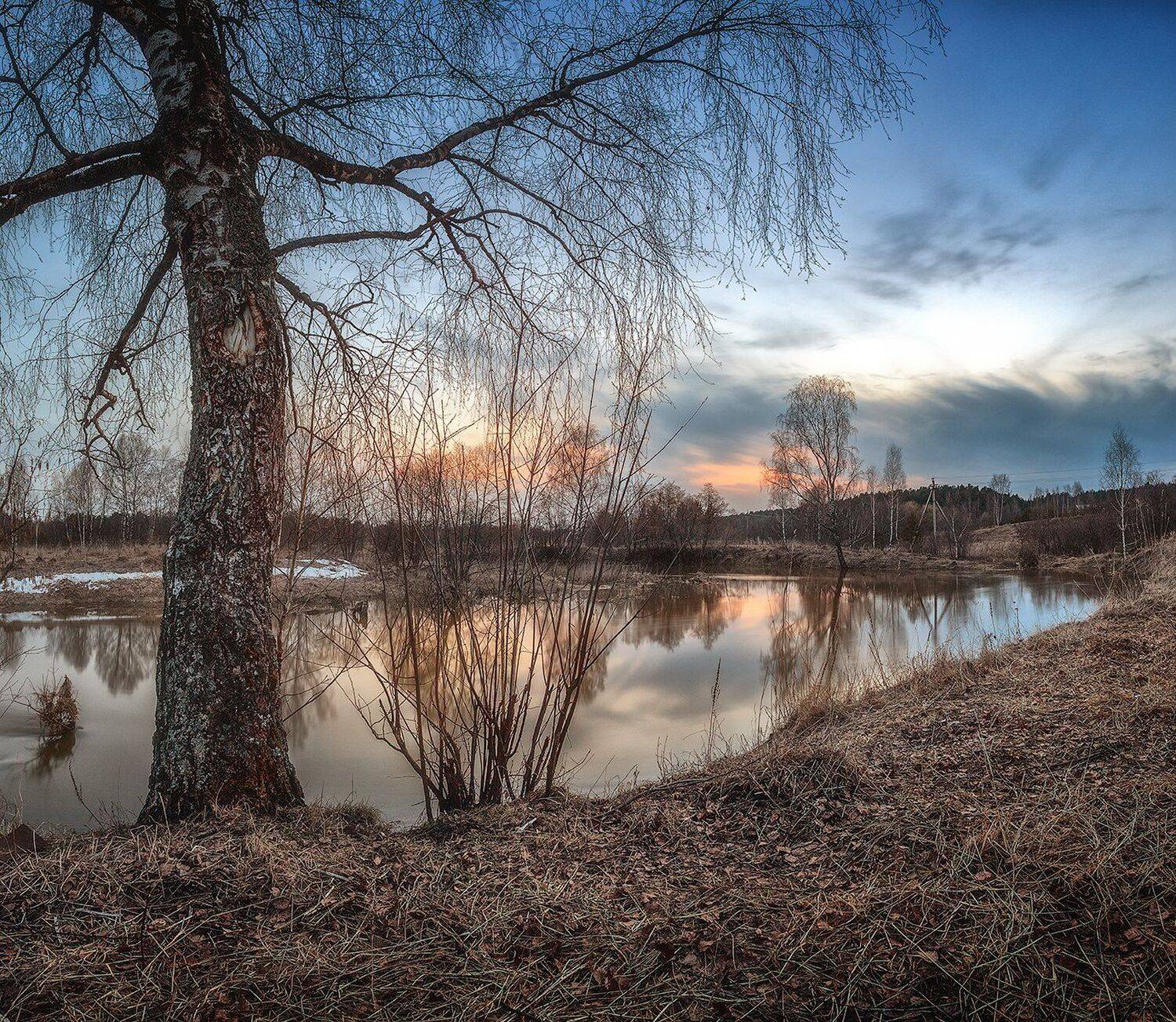 , Николай Андреев