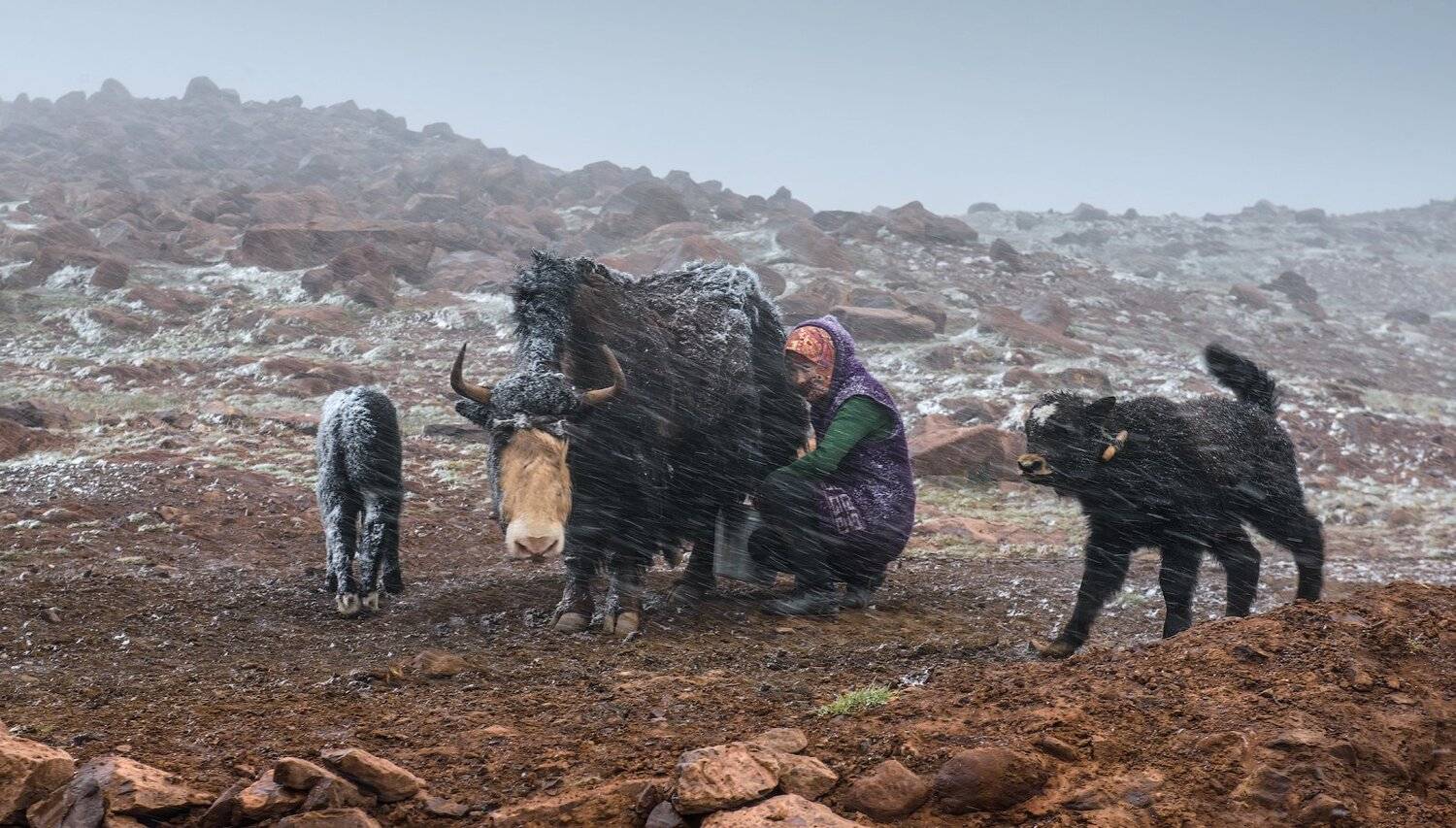 Киргизия, Алайский, Алайская, Памир, Памирскийтракт, Памирский_тракт, Кутыгин Эдуард