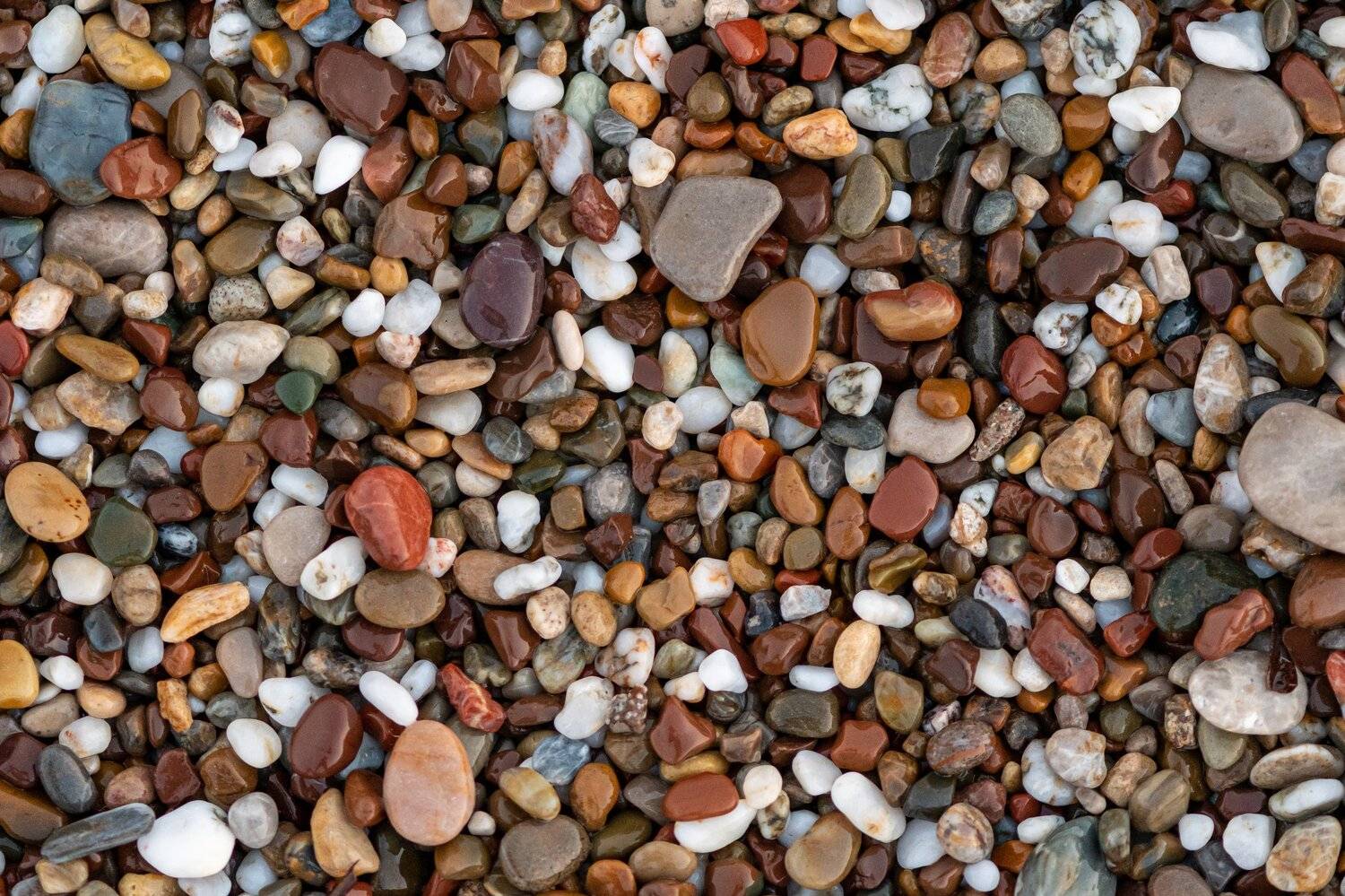 Sea; Turkey; beach; black; colors; colours; damp; details; dotted; macro; moist; pebble; red; seaside; stones; water; wet; white; yellow; ,  Mykhailo