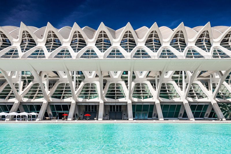 canon, color, postcard, picturesque, landmark, europe, valencia, spain, travel, urban, architecture, iconic, symmetry, geometry, modern Зонтики фото превью