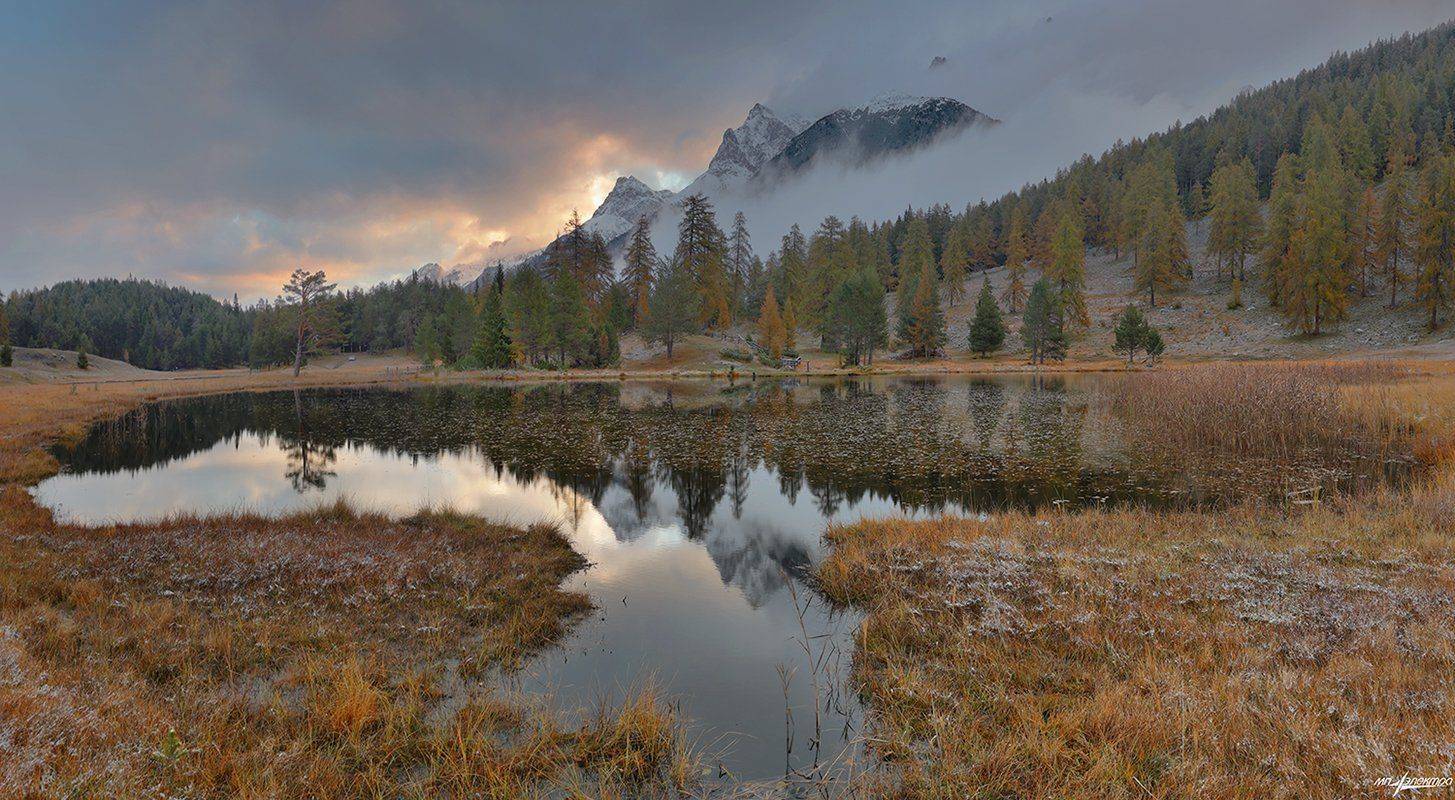 swiss, Матвеев Николай