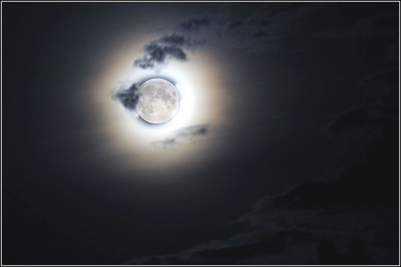 Свет луны фото превью