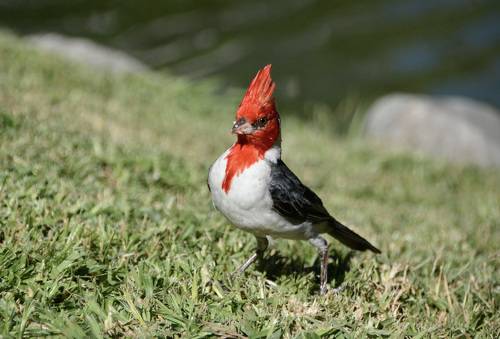 А я такой нарядный...
