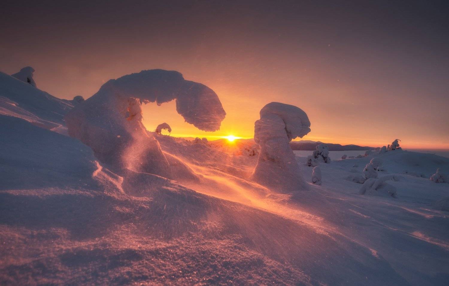 кольский, Андрей Грачев