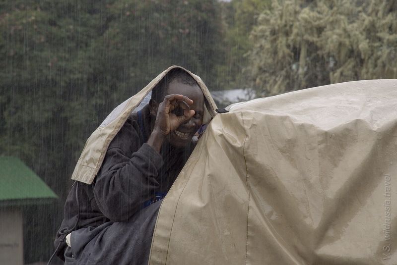килиманджаро, дождь, ливень, негр, африка, спорт, экстрим, горы, танзания, путешествие, приключение, шагнивнеизведанное Весёлый дождик в Мириакамбе фото превью