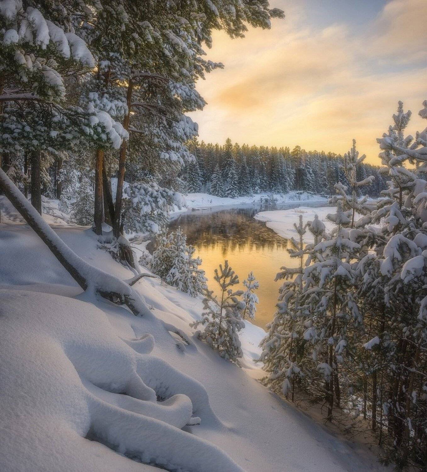 , Устюжанин Михаил