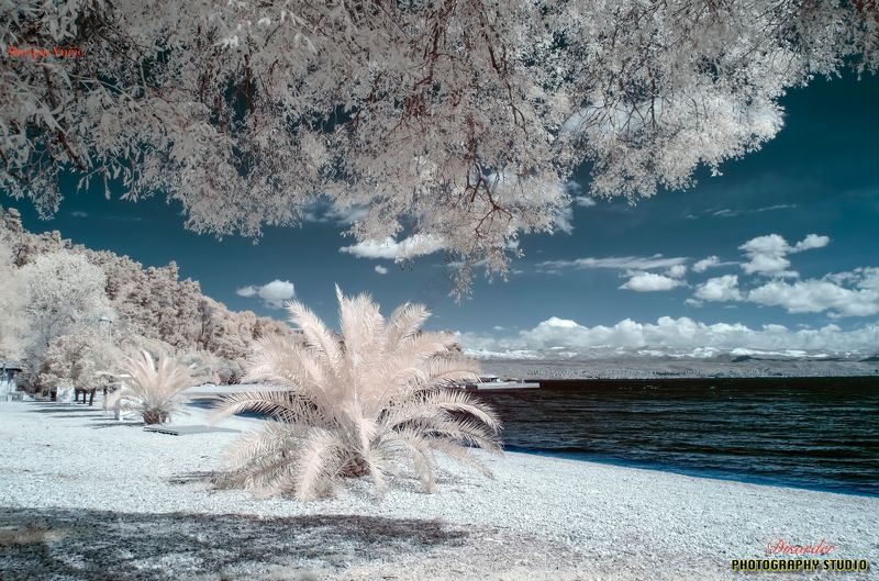 INFRA фото превью