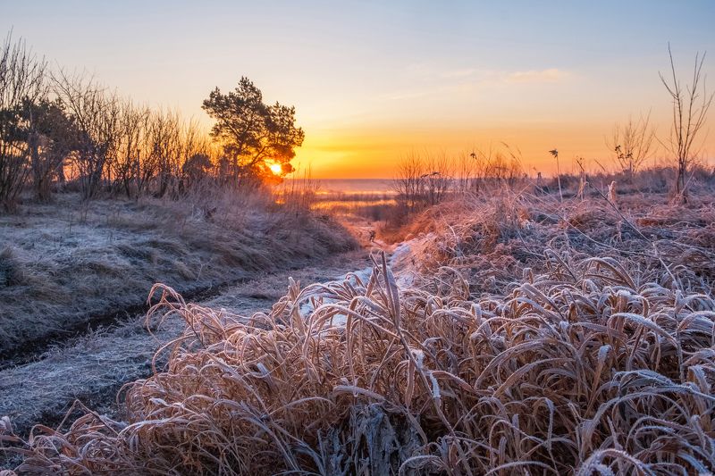 Морозный рассвет фото превью