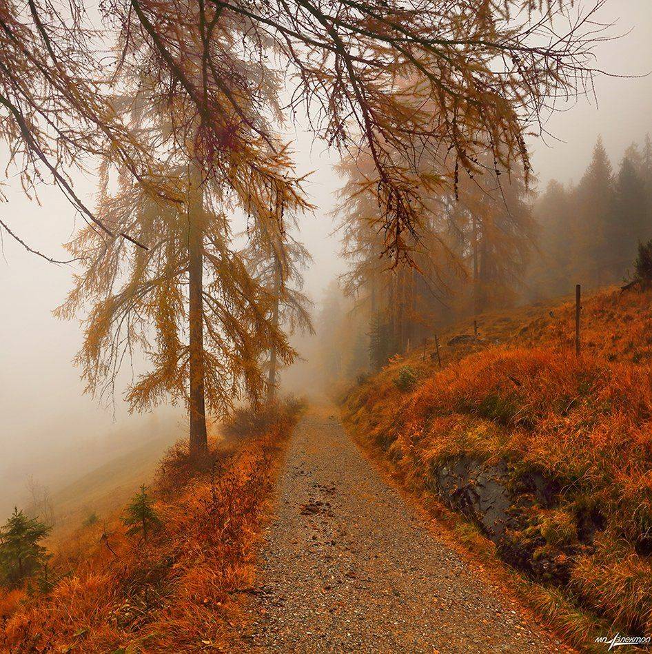 swiss, Матвеев Николай